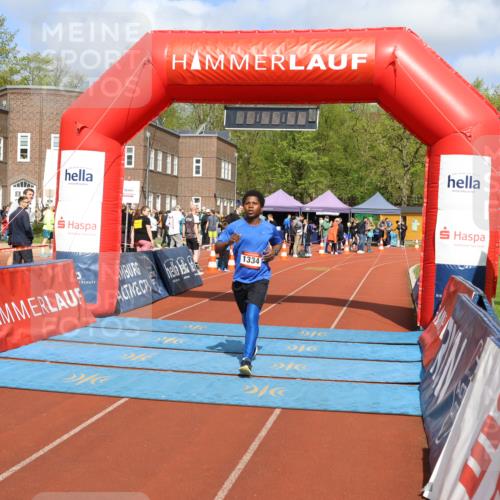 14.04.2024 - Hammer Lauf Strokosch-Dieckow http://msf.ph/oto/6074054 14.04.2024 11:15:54 Ziel 255, 1178, 1334, 255, 1178, 1334 meine-sportfotos.de