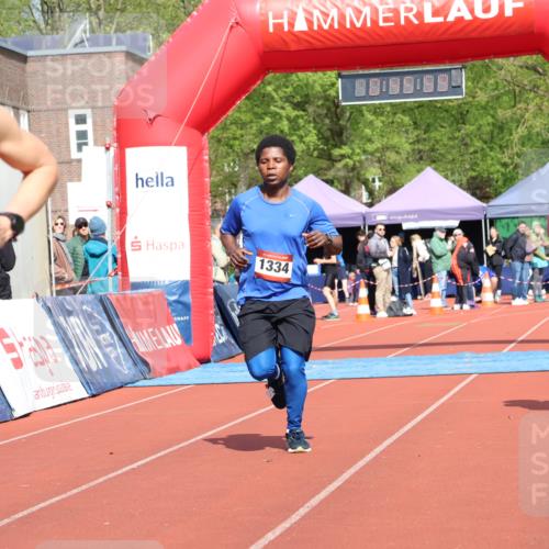 14.04.2024 - Hammer Lauf Strokosch-Dieckow http://msf.ph/oto/6077018 14.04.2024 11:15:57 Ziel 255, 1178, 1334 meine-sportfotos.de