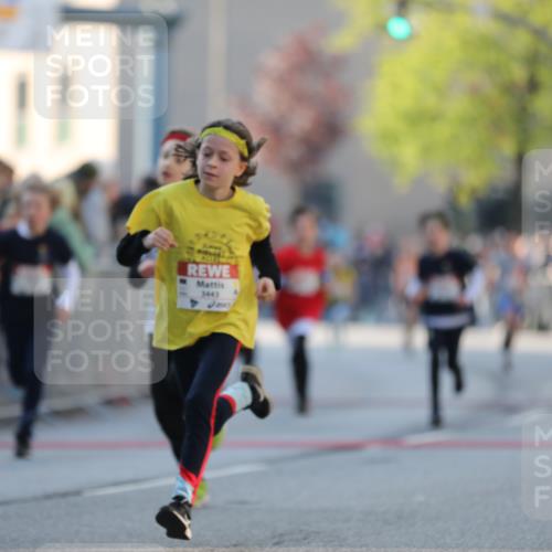 27.04.2024 - Das Zehntel Fuchs,  Jonas http://msf.ph/oto/6101018 27.04.2024 08:49:20 Ziel 1326, 1491, 1498, 1935, 2264, 2599, 2805, 2839, 3169, 3173, 3443, 3619, 3703, 3783 meine-sportfotos.de