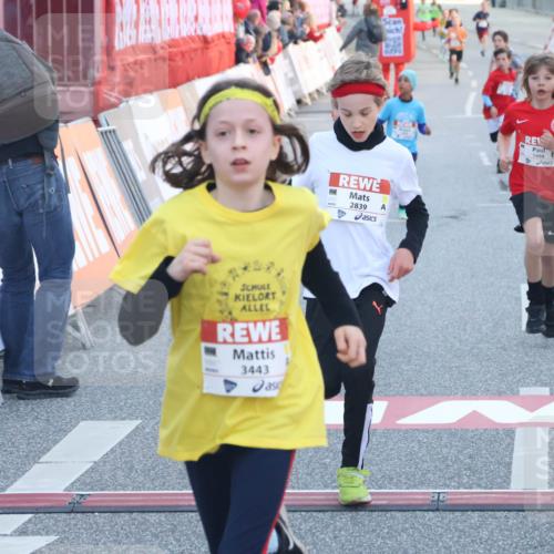 27.04.2024 - Das Zehntel Lena Gebhardt http://msf.ph/oto/6130188 27.04.2024 08:50:01 Ziel 1491, 1498, 1935, 2264, 2599, 2805, 2839, 3443, 3703, 3783, 3924 meine-sportfotos.de