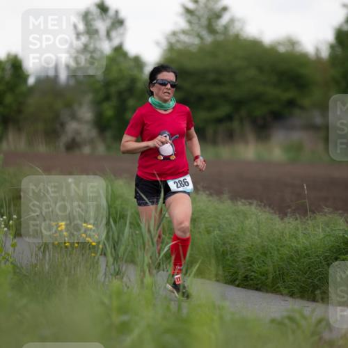 05.05.2024 - 7. Wedeler Halbmarathon Michael Strokosch http://msf.ph/oto/6221056 05.05.2024 10:56:20 Laufen 11, 286 meine-sportfotos.de