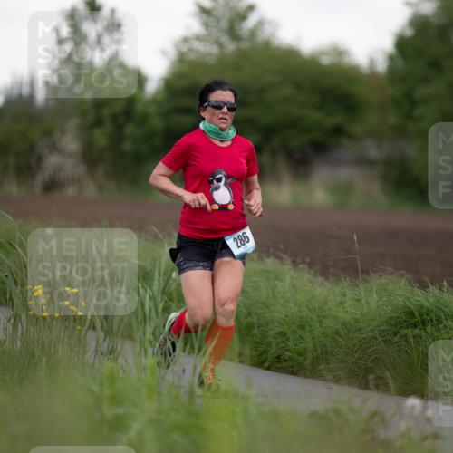 05.05.2024 - 7. Wedeler Halbmarathon Michael Strokosch http://msf.ph/oto/6221057 05.05.2024 10:56:20 Laufen 286 meine-sportfotos.de