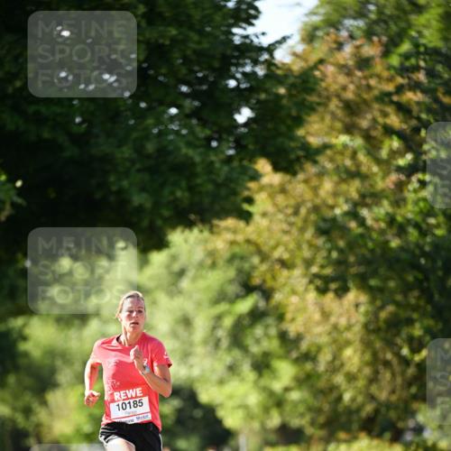 08.06.2024 - REWE Women's Run Dr. Thomas Lammeyer http://msf.ph/oto/6242298 09.06.2024 09:12:50 Laufen 10185 meine-sportfotos.de