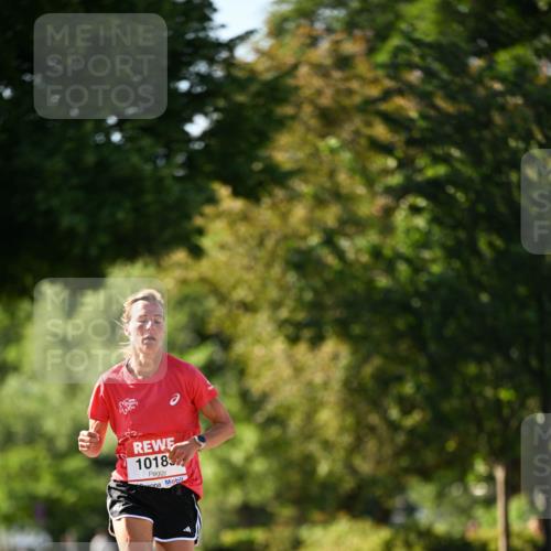 08.06.2024 - REWE Women's Run Dr. Thomas Lammeyer http://msf.ph/oto/6242305 09.06.2024 09:12:51 Laufen 1018 meine-sportfotos.de