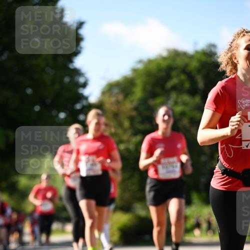 08.06.2024 - REWE Women's Run Dr. Thomas Lammeyer http://msf.ph/oto/6243249 09.06.2024 09:17:40 Laufen  meine-sportfotos.de