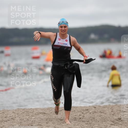 04.08.2024 - OstseeMan Michael Strokosch http://msf.ph/oto/6679857 04.08.2024 09:46:07 Schwimmen 252, 259, 283, 1173, 1174, 1174, 1193, 1201, 1201, 1210, 1210, 1212, 1215, 1215, 1218, 1218, 1221, 1221, 1230, 1239, 1240, 1240, 1253, 1253, 1266, 1280, 1287, 1287, 1292, 1296, 1296 meine-sportfotos.de