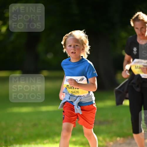 25.08.2024 - 20. Blankeneser Heldenlauf Dr. Thomas Lammeyer http://msf.ph/oto/6809319 25.08.2024 10:25:24 Laufen 6426 meine-sportfotos.de