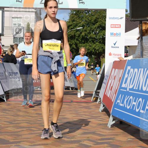 25.08.2024 - 20. Blankeneser Heldenlauf Strokosch-Dieckow http://msf.ph/oto/6831274 25.08.2024 10:26:36 Ziel 6066, 6069, 6119, 6355, 6433, 6451 meine-sportfotos.de