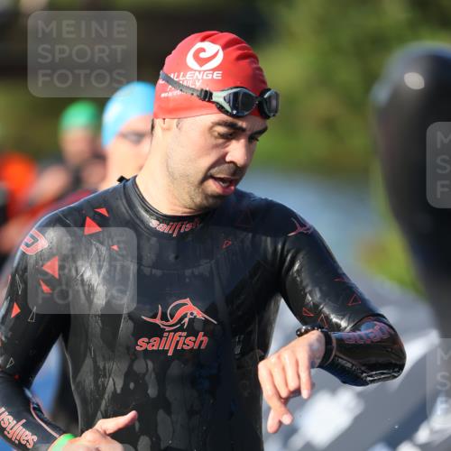 25.08.2024 - Elbe Triathlon Hamburg H.Heesch http://msf.ph/oto/6851371 25.08.2024 08:59:17 Schwimmen 202, 203, 204, 237, 261, 275, 278, 285, 298, 310, 316, 322 meine-sportfotos.de