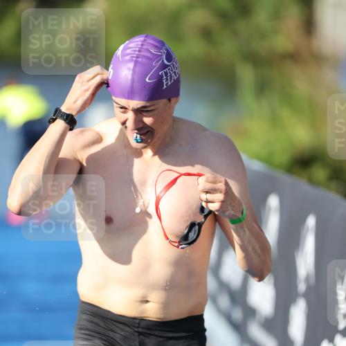 25.08.2024 - Elbe Triathlon Hamburg H.Heesch http://msf.ph/oto/6858525 25.08.2024 09:08:48 Schwimmen 319, 391 meine-sportfotos.de