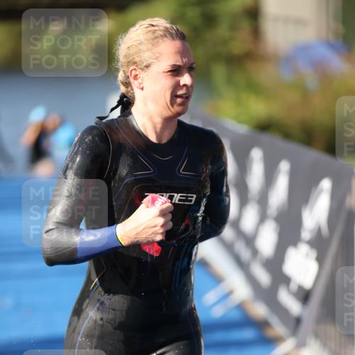 25.08.2024 - Elbe Triathlon Hamburg H.Heesch http://msf.ph/oto/6863454 25.08.2024 09:32:59 Schwimmen 485, 530, 551 meine-sportfotos.de