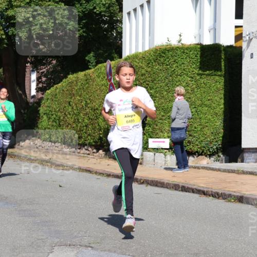 25.08.2024 - 20. Blankeneser Heldenlauf Strokosch-Dieckow http://msf.ph/oto/6865172 25.08.2024 10:26:24 Ziel 6014, 6066, 6355, 6484, 6485 meine-sportfotos.de