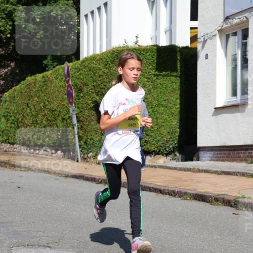 25.08.2024 - 20. Blankeneser Heldenlauf Strokosch-Dieckow http://msf.ph/oto/6865181 25.08.2024 10:26:24 Ziel 6014, 6066, 6355, 6484, 6485 meine-sportfotos.de