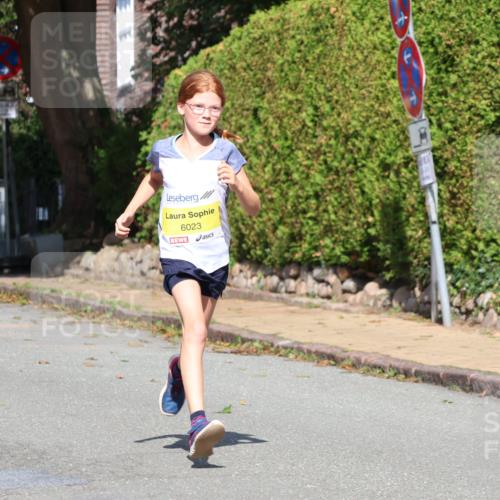 25.08.2024 - 20. Blankeneser Heldenlauf Strokosch-Dieckow http://msf.ph/oto/6865829 25.08.2024 10:27:20 Ziel 6023, 6135, 6282, 6397 meine-sportfotos.de