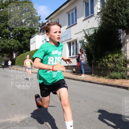 25.08.2024 - 20. Blankeneser Heldenlauf Strokosch-Dieckow http://msf.ph/oto/6867106 25.08.2024 10:28:48 Ziel 6038, 6152, 6262, 6272, 6279, 6356, 6357, 6429, 6466, 6493 meine-sportfotos.de
