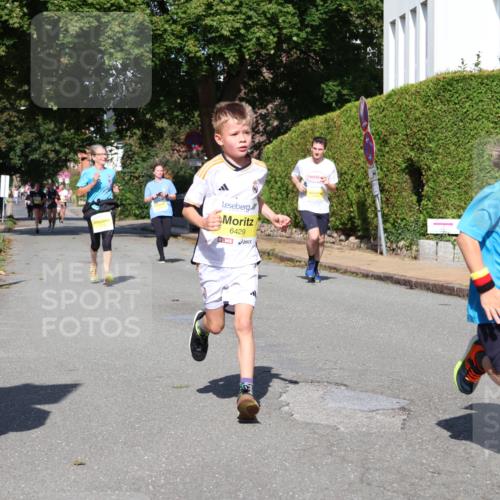 25.08.2024 - 20. Blankeneser Heldenlauf Strokosch-Dieckow http://msf.ph/oto/6867188 25.08.2024 10:28:52 Ziel 6038, 6152, 6272, 6296, 6357, 6429, 6466, 6493 meine-sportfotos.de