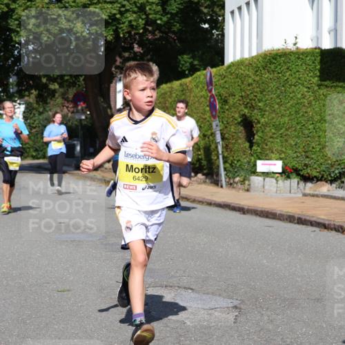 25.08.2024 - 20. Blankeneser Heldenlauf Strokosch-Dieckow http://msf.ph/oto/6867194 25.08.2024 10:28:52 Ziel 6038, 6152, 6272, 6296, 6357, 6429, 6466, 6493 meine-sportfotos.de