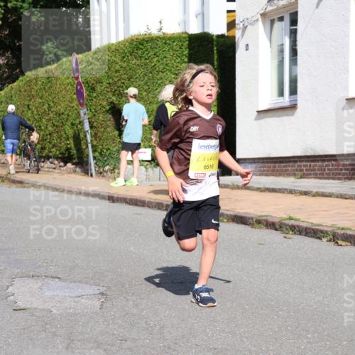 25.08.2024 - 20. Blankeneser Heldenlauf Strokosch-Dieckow http://msf.ph/oto/6869510 25.08.2024 10:30:51 Ziel 6271, 6290, 6339, 6364, 6400, 6401, 6516 meine-sportfotos.de