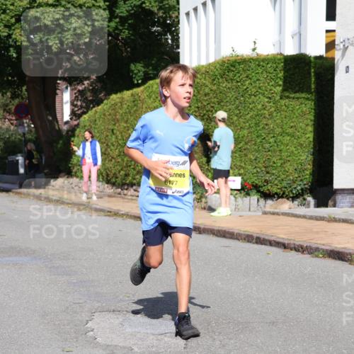 25.08.2024 - 20. Blankeneser Heldenlauf Strokosch-Dieckow http://msf.ph/oto/6869925 25.08.2024 10:31:21 Ziel 6067, 6082, 6177, 6189, 6190, 6247, 6338, 6490 meine-sportfotos.de