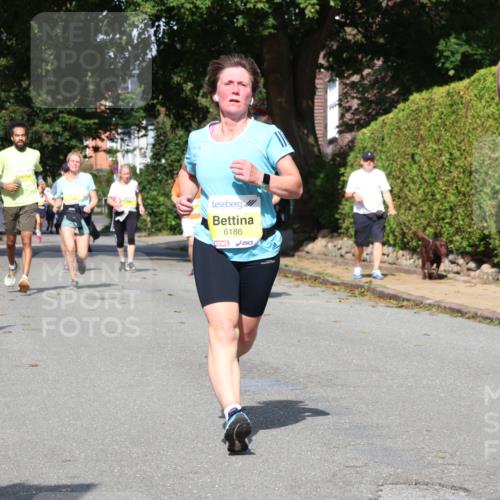 25.08.2024 - 20. Blankeneser Heldenlauf Strokosch-Dieckow http://msf.ph/oto/6870553 25.08.2024 10:32:19 Ziel 6086, 6146, 6186, 6253, 6254, 6317, 6464 meine-sportfotos.de