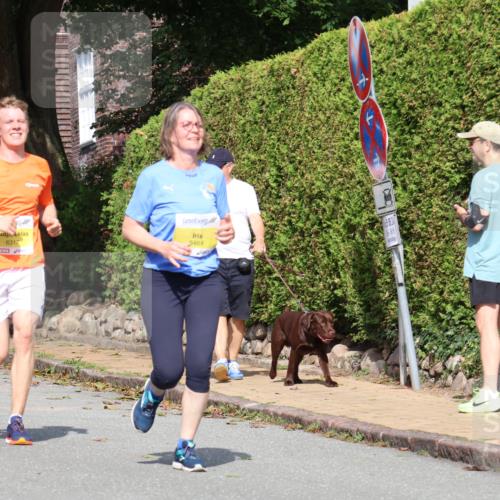 25.08.2024 - 20. Blankeneser Heldenlauf Strokosch-Dieckow http://msf.ph/oto/6870615 25.08.2024 10:32:22 Ziel 6086, 6146, 6186, 6201, 6253, 6254, 6317, 6464 meine-sportfotos.de