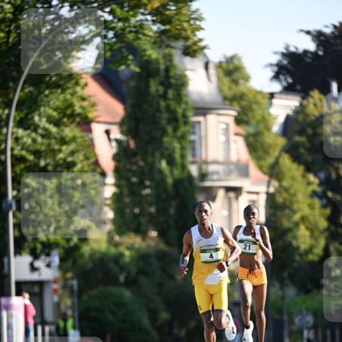 01.09.2024 - BARMER Alsterlauf Dr. Thomas Lammeyer http://msf.ph/oto/6886922 01.09.2024 09:17:18 Laufen 21 meine-sportfotos.de