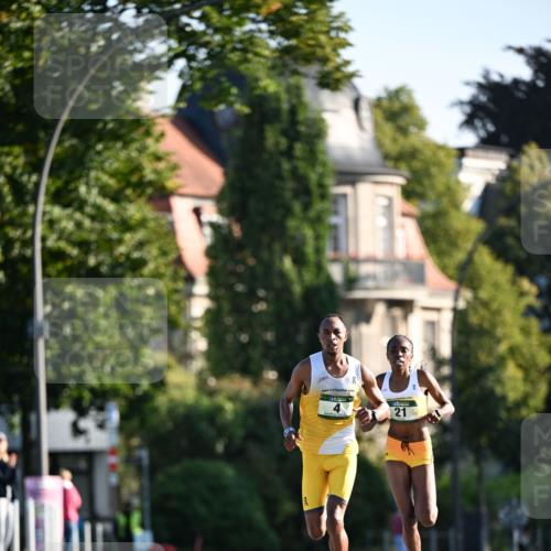 01.09.2024 - BARMER Alsterlauf Dr. Thomas Lammeyer http://msf.ph/oto/6886924 01.09.2024 09:17:18 Laufen 2, 21 meine-sportfotos.de