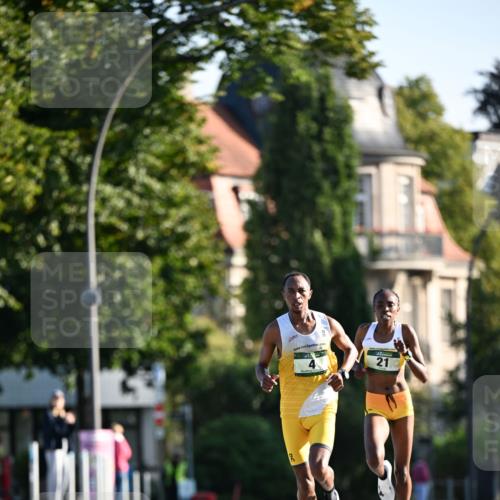 01.09.2024 - BARMER Alsterlauf Dr. Thomas Lammeyer http://msf.ph/oto/6886927 01.09.2024 09:17:19 Laufen 2, 21 meine-sportfotos.de