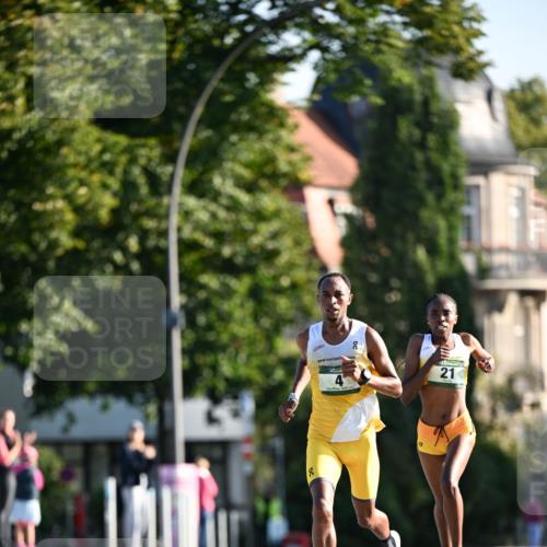 01.09.2024 - BARMER Alsterlauf Dr. Thomas Lammeyer http://msf.ph/oto/6886930 01.09.2024 09:17:19 Laufen 2, 21 meine-sportfotos.de