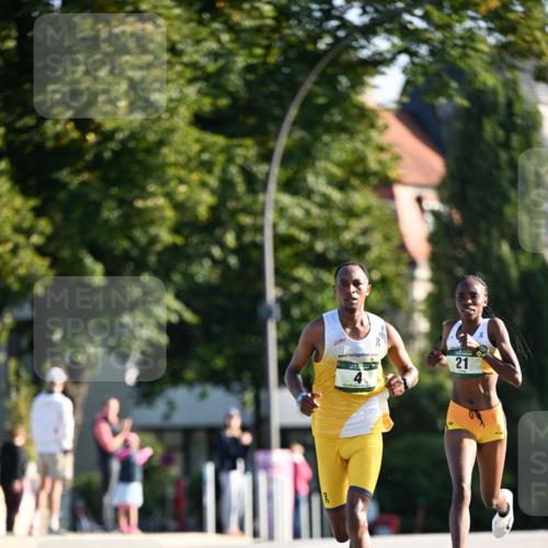 01.09.2024 - BARMER Alsterlauf Dr. Thomas Lammeyer http://msf.ph/oto/6886933 01.09.2024 09:17:20 Laufen 2, 21, 8 meine-sportfotos.de
