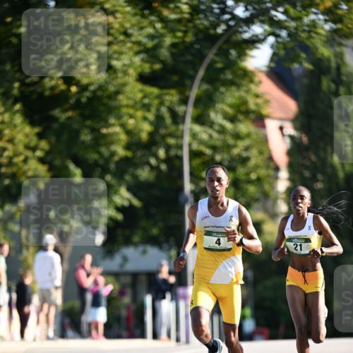 01.09.2024 - BARMER Alsterlauf Dr. Thomas Lammeyer http://msf.ph/oto/6886934 01.09.2024 09:17:20 Laufen 2, 21 meine-sportfotos.de