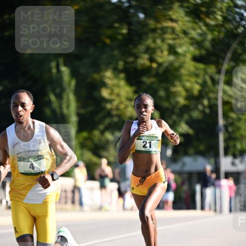01.09.2024 - BARMER Alsterlauf Dr. Thomas Lammeyer http://msf.ph/oto/6886941 01.09.2024 09:17:21 Laufen 2, 21 meine-sportfotos.de
