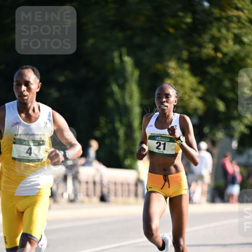 01.09.2024 - BARMER Alsterlauf Dr. Thomas Lammeyer http://msf.ph/oto/6886943 01.09.2024 09:17:22 Laufen 2, 2, 10135, 21 meine-sportfotos.de