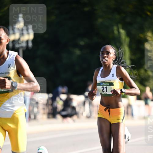 01.09.2024 - BARMER Alsterlauf Dr. Thomas Lammeyer http://msf.ph/oto/6886945 01.09.2024 09:17:22 Laufen 2, 135, 21 meine-sportfotos.de