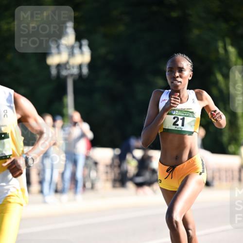01.09.2024 - BARMER Alsterlauf Dr. Thomas Lammeyer http://msf.ph/oto/6886946 01.09.2024 09:17:22 Laufen 2, 35, 21 meine-sportfotos.de