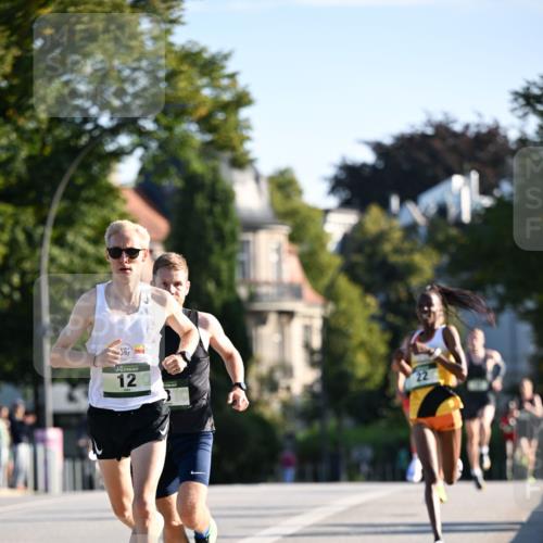 01.09.2024 - BARMER Alsterlauf Dr. Thomas Lammeyer http://msf.ph/oto/6886968 01.09.2024 09:17:40 Laufen 12, 22 meine-sportfotos.de