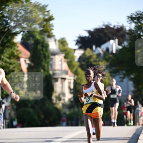 01.09.2024 - BARMER Alsterlauf Dr. Thomas Lammeyer http://msf.ph/oto/6886971 01.09.2024 09:17:40 Laufen 22, 2 meine-sportfotos.de
