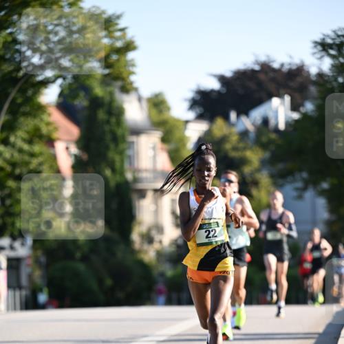 01.09.2024 - BARMER Alsterlauf Dr. Thomas Lammeyer http://msf.ph/oto/6886973 01.09.2024 09:17:41 Laufen 2, 2, 22, 2 meine-sportfotos.de
