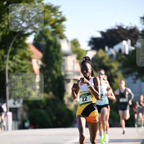 01.09.2024 - BARMER Alsterlauf Dr. Thomas Lammeyer http://msf.ph/oto/6886975 01.09.2024 09:17:41 Laufen 2, 2, 22, 2 meine-sportfotos.de