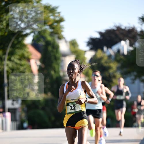 01.09.2024 - BARMER Alsterlauf Dr. Thomas Lammeyer http://msf.ph/oto/6886977 01.09.2024 09:17:41 Laufen 2, 135, 22 meine-sportfotos.de