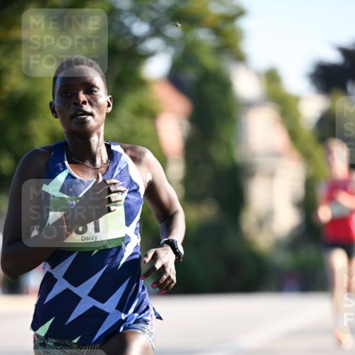 01.09.2024 - BARMER Alsterlauf Dr. Thomas Lammeyer http://msf.ph/oto/6887018 01.09.2024 09:17:50 Laufen  meine-sportfotos.de