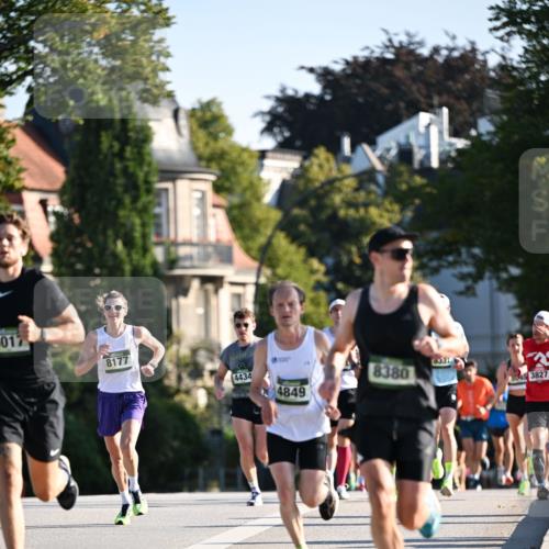 01.09.2024 - BARMER Alsterlauf Dr. Thomas Lammeyer http://msf.ph/oto/6887803 01.09.2024 09:21:46 Laufen 017, 8177, 3, 4434, 0331, 8380, 4849, 043827 meine-sportfotos.de