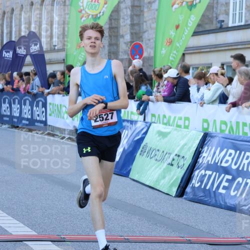 01.09.2024 - BARMER Alsterlauf Strokosch-Dieckow http://msf.ph/oto/6888361 01.09.2024 09:36:21 Ziel 30, 2527, 3729, 4900, 8382 meine-sportfotos.de