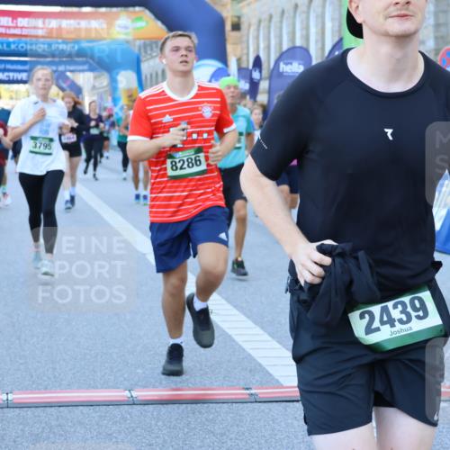 01.09.2024 - BARMER Alsterlauf Strokosch-Dieckow http://msf.ph/oto/6890293 01.09.2024 10:06:34 Ziel 2029, 2213, 2351, 2358, 2439, 2464, 2670, 2853, 3022, 3025, 3088, 3263, 3689, 3795, 4089, 4202, 4522, 4631, 4755, 4756, 4823, 5058, 8017, 8286, 8324 meine-sportfotos.de