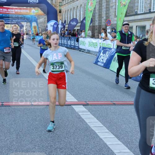 01.09.2024 - BARMER Alsterlauf Strokosch-Dieckow http://msf.ph/oto/6890735 01.09.2024 10:19:42 Ziel 2051, 2196, 2432, 2433, 2435, 2687, 2713, 3213, 3320, 3344, 3738, 3739, 3784, 4921, 4922 meine-sportfotos.de