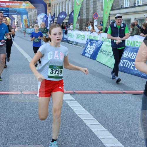 01.09.2024 - BARMER Alsterlauf Strokosch-Dieckow http://msf.ph/oto/6890737 01.09.2024 10:19:42 Ziel 2051, 2196, 2432, 2433, 2435, 2687, 2713, 3213, 3320, 3344, 3738, 3739, 3784, 4921, 4922 meine-sportfotos.de