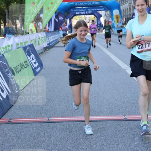 01.09.2024 - BARMER Alsterlauf Strokosch-Dieckow http://msf.ph/oto/6891156 01.09.2024 10:22:22 Ziel 2178, 2277, 2326, 2803, 3210, 3221, 3222, 3300, 3925, 3926, 8357 meine-sportfotos.de