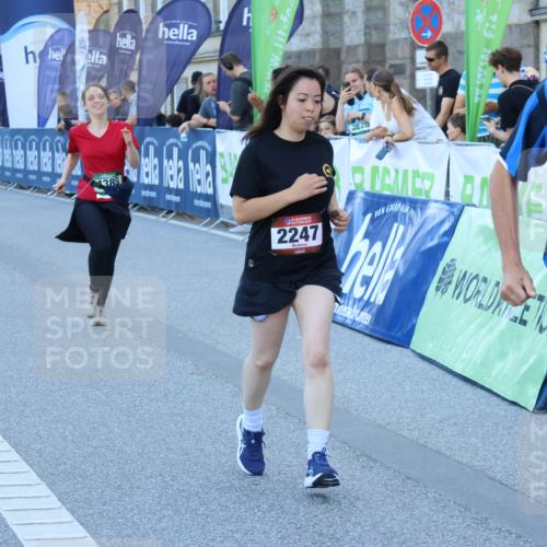 01.09.2024 - BARMER Alsterlauf Strokosch-Dieckow http://msf.ph/oto/6891185 01.09.2024 10:22:51 Ziel 2247, 3261, 3395, 3902, 3914, 4385, 4651, 4743 meine-sportfotos.de