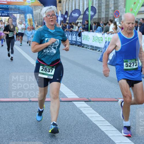 01.09.2024 - BARMER Alsterlauf Strokosch-Dieckow http://msf.ph/oto/6891397 01.09.2024 10:14:28 Ziel 2550, 2585, 2586, 2637, 2793, 3620, 4285, 4449, 4516, 4714, 5031, 5218, 5220, 5273 meine-sportfotos.de