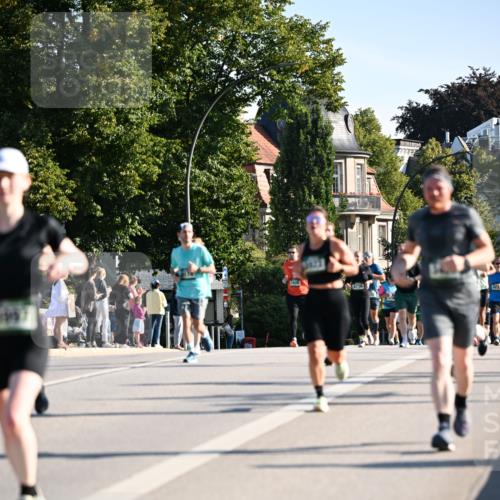 01.09.2024 - BARMER Alsterlauf Dr. Thomas Lammeyer http://msf.ph/oto/6895064 01.09.2024 09:32:05 Laufen  meine-sportfotos.de